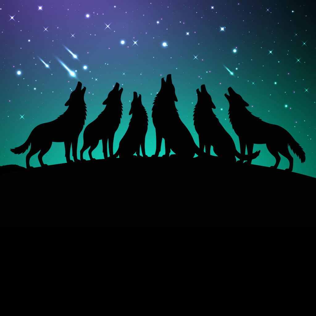 A Hit Dog Will&nbsp;Holler